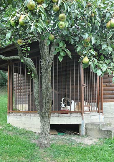Садиба У Крайлюків Yaremche Bagian luar foto